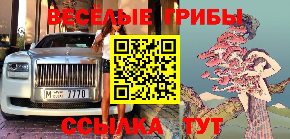 Галлюциногенные грибы GOLDEN TEACHER  Вход с VPN  где купить наркоту  Тулун 